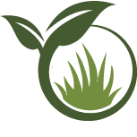 Strive Wisteria Planting